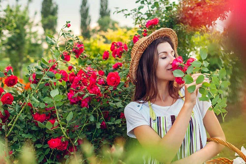 Hiranandani Karjat Plots Flower Garden